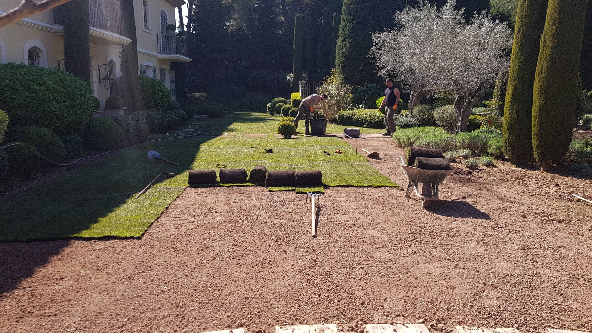 Landscaping creation