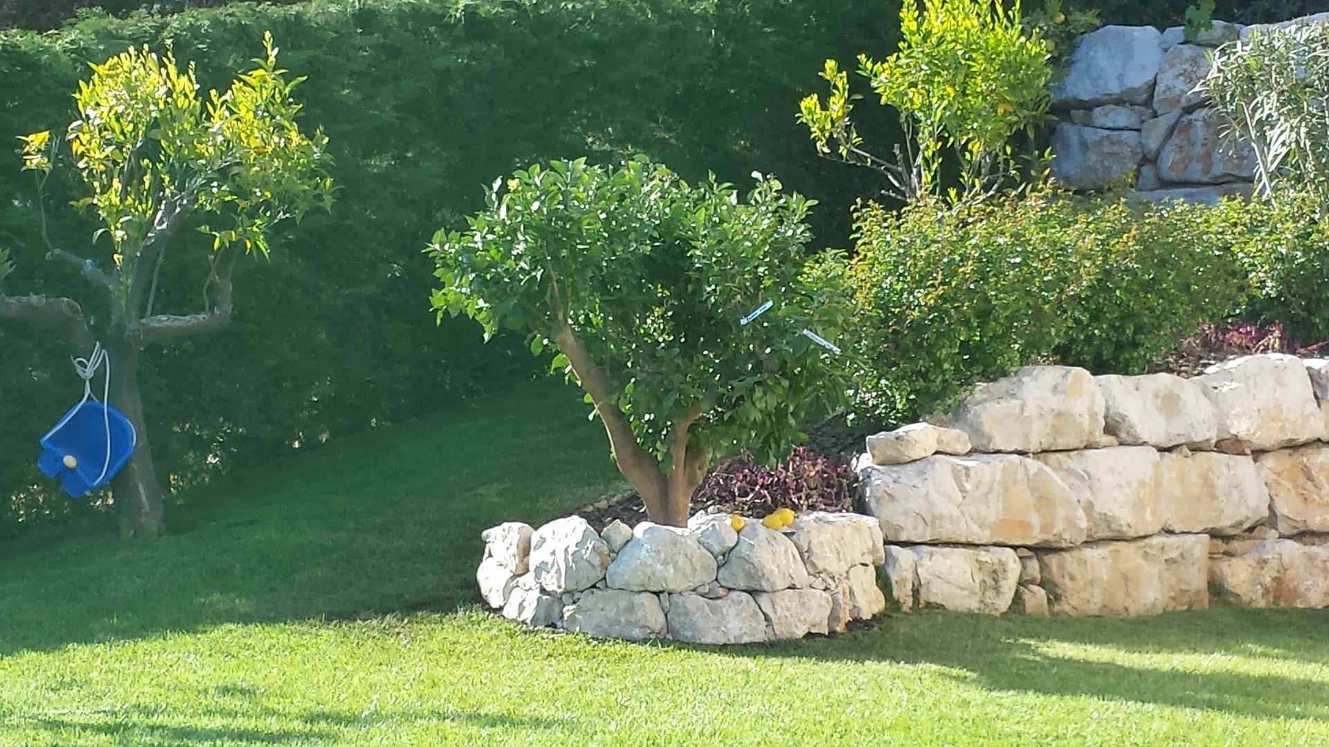 Trimming and brush clearing